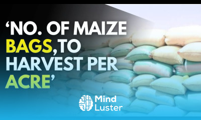 How many bags of Maize you can Harvest per acre