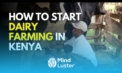 How to start Dairy farming in Kenya