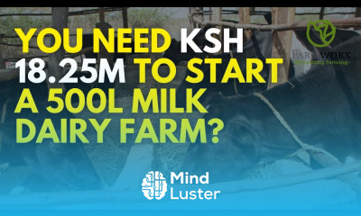 The Budget of starting a Dairy Farm in Kenya producing 500L per Day
