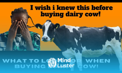 How to identify a good dairy cow Dairy Farming in Kenya