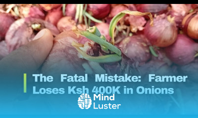 The Fatal Mistake Farmer Loses Ksh 400K in Bulb Onions