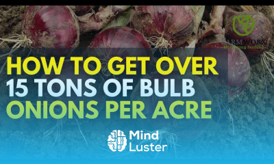 Free Guide on Profitable Onion Farming in Kenya from Selecting the Best Seeds to Harvesting in 2025