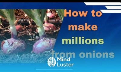 Onion farming in Kenya How to grow the best most marketable bulb onions in 2025