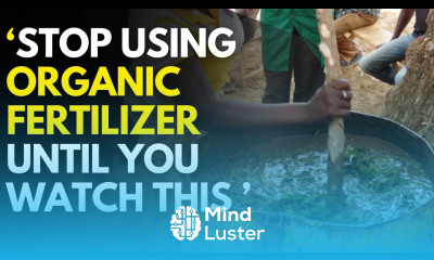 Organic vs Synthetic Fertilizer The Truth No One Told You