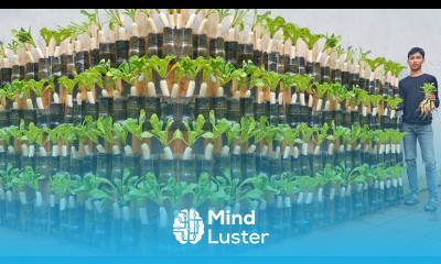 Home Gardening How to grow white radish at home for your family to eat all year round