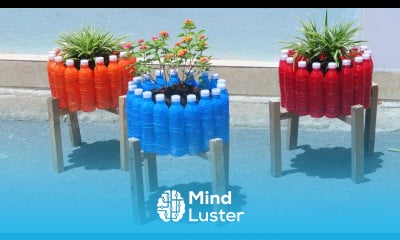 How to recycle plastic bottles into beautiful flower pots for your garden