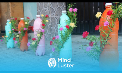 How to grow Portulaca grandiflora in old plastic bottles simple and easy