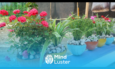 Recycling the coconut shells into colorful flower pots