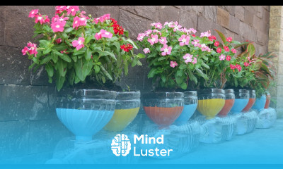 Smart idea for Plastic Bottles Recycling Plastic bottles into Flower pots