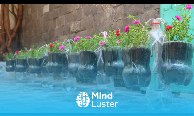Reusing plastic bottles into flower pots which don t need watering DIY garden