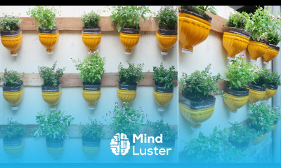 Recycling Plastic bottles into Beautiful vertical garden on Wall