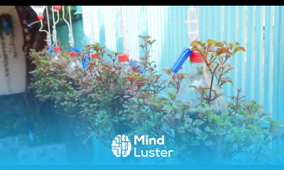 How to make plastic bottles into hanging vegetable pots combined with automatic watering system