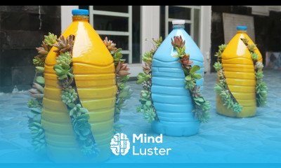 Unique Ideas How to Grow Succulents in Plastic Bottles easily