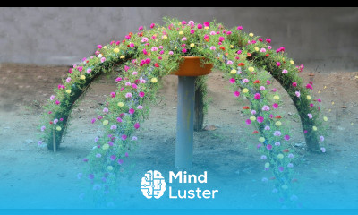 Brilliant idea Grow Portulaca Moss Rose flowers into a waterfall for small garden