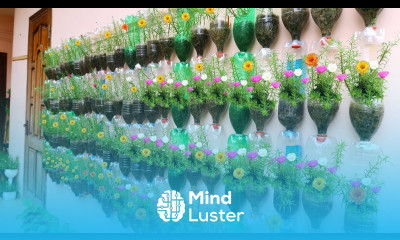 Amazing Vertical Garden Using Plastic Bottles Portulaca Moss Rose Garden on Wall