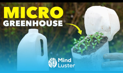 The Clever Reason Smart Gardeners Start Seeds in Milk Jugs