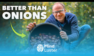 Shallot Growing Masterclass Better than Onions