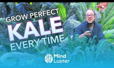 Grow Perfect Kale Every Time
