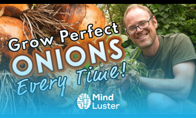 Grow Perfect Onions Every Time