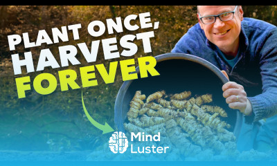 This Crop is WAY Better Than Potatoes And No One Grows It