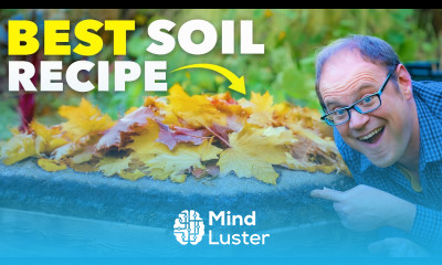 Do This Every Winter for Perfect Soil