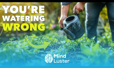 Pro Gardeners Water Differently Here s How