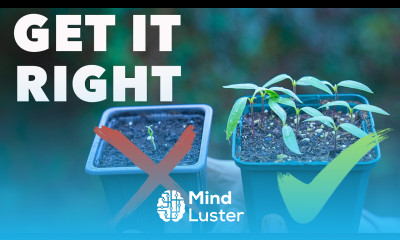 Seed Starting Masterclass My Blueprint for Success Every Time