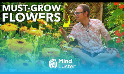 These Magic Flowers Will Repel Pests and Feed Your Plants