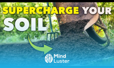 This Will Enrich Your Soil Instantly