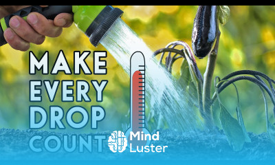 Don t Make These Rookie Watering Mistakes 