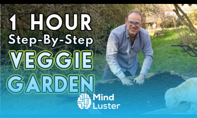 New Vegetable Garden How To Get Started