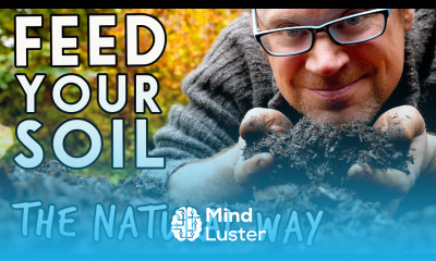 3 Ways to Build Soil Health