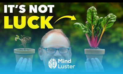 The Clever Way Smart Gardeners Stop Plants Dying