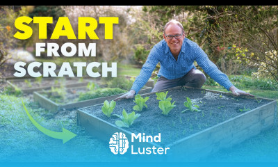 The Beginner Gardener s Blueprint No Experience Needed