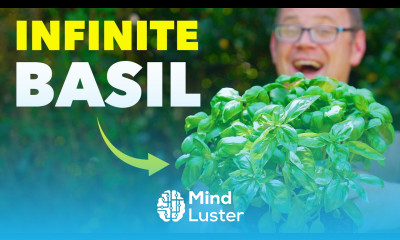 How to Grow a Never Ending Supply of Basil