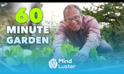 How to Start a Vegetable Garden Quick and Easy