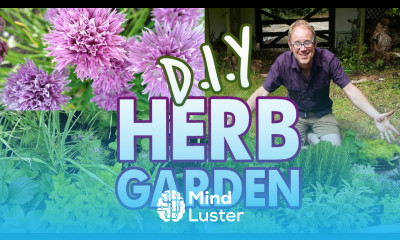 DIY Easy Herb Garden for Beginners