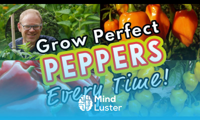 Grow Perfect Peppers Every Time 