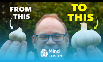 How to Grow the Biggest Garlic Start Early