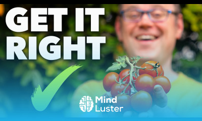 Tomato Planting Masterclass The Secret to Perfect Tomatoes