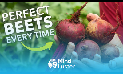 Grow Perfect Beets Beetroot Every Time