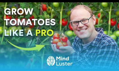 5 Secrets to Growing Amazing Tomatoes That Really Work
