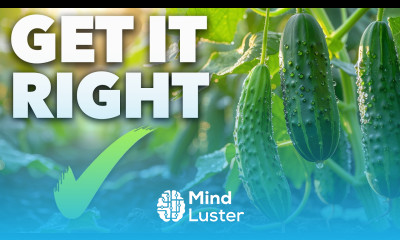 Cucumber Growing Masterclass The Secret to Perfect Cucumbers