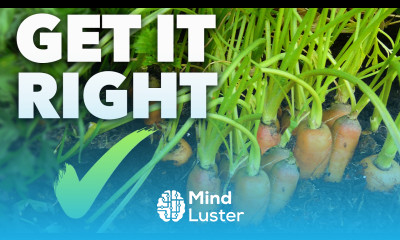 Carrot Growing Masterclass Perfect Carrots Every Time