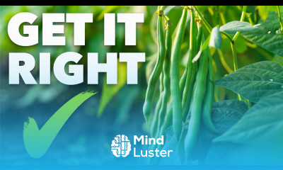 Bean Growing Masterclass Grow Super Fast Green Beans