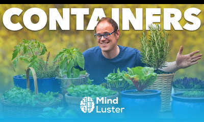 The Lazy Gardener s Guide to Starting a Container Garden