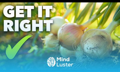 Onion Growing Masterclass My Guide to Bigger Better Bulbs