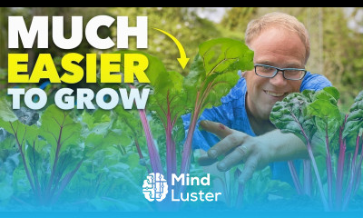 This Crop is WAY Better than Spinach And Easier To Grow