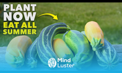 The No Fuss Vegetable That You Can Grow in 60 Days