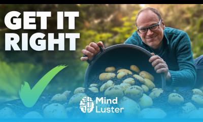 Potato Growing Masterclass My Tips for a Bigger Better Harvest